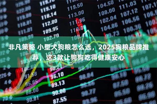 非凡策略 小型犬狗糧怎么選，2025狗糧品牌推薦，這3款讓狗狗吃得健康安心